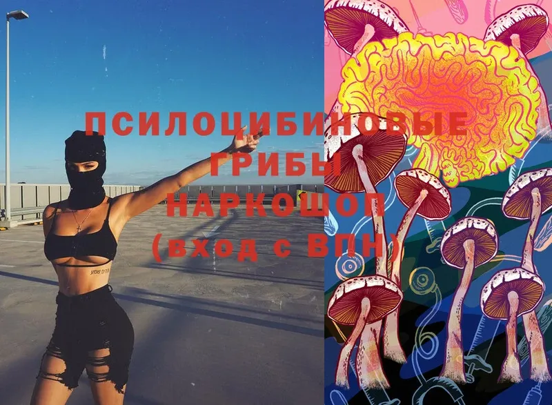 Галлюциногенные грибы Magic Shrooms  Кулебаки 